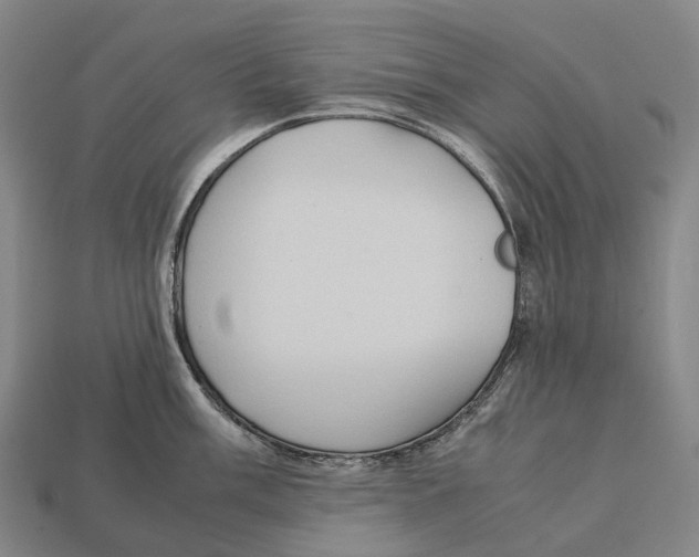 X0000113111003200909251048