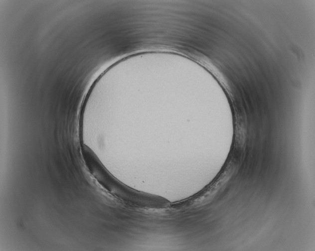 X0000113111004200909251048