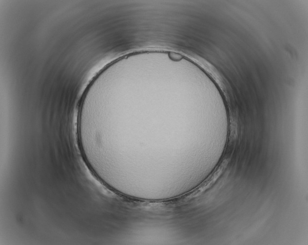 X0000113111006200909251048