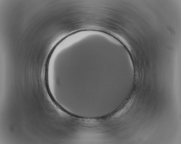 X0000113111007200909251048
