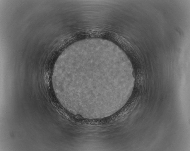 X0000113111010200909251047