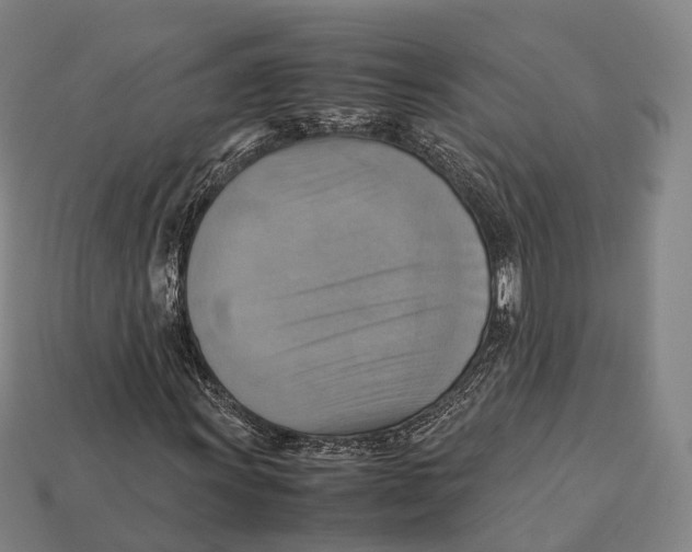 X0000113111011200909251047