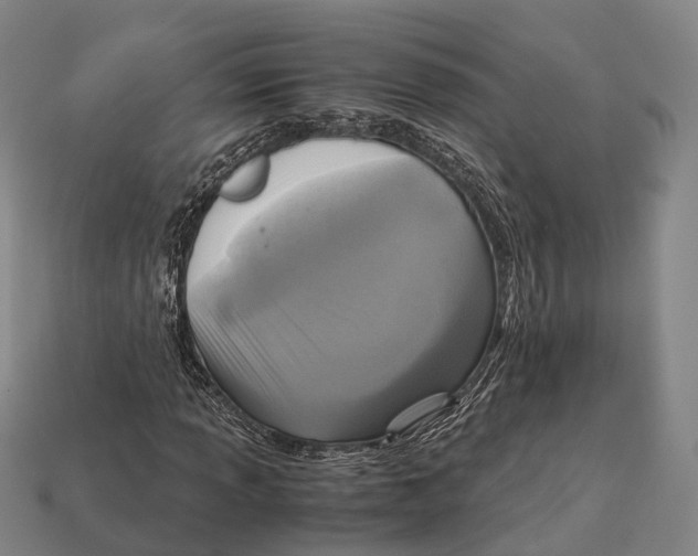 X0000113111013200909251047
