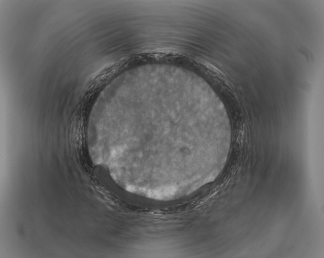 X0000113111014200909251047