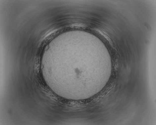X0000113111015200909251047