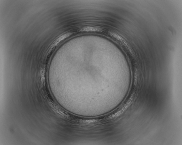 X0000113111017200909251047