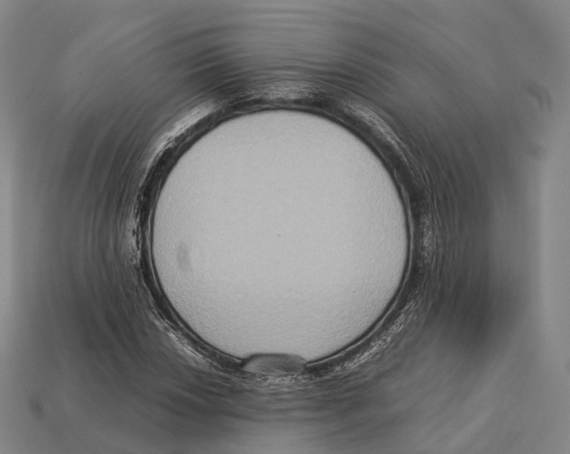 X0000113111018200909251047