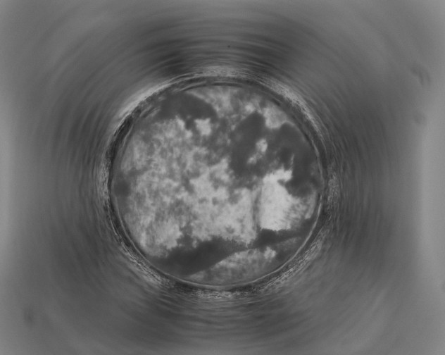 X0000113111019200909251047