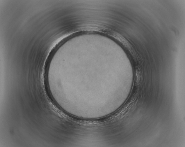 X0000113111020200909251048