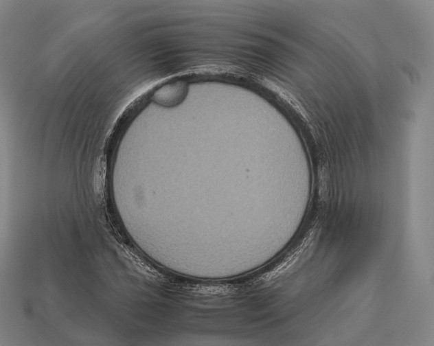 X0000113111021200909251048