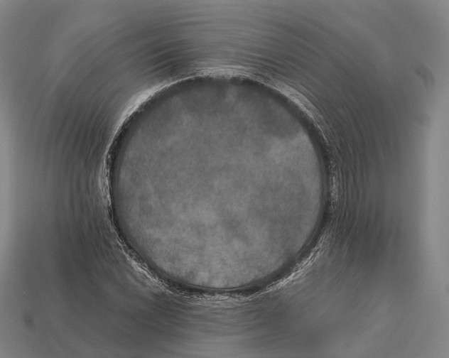 X0000113111022200909251048