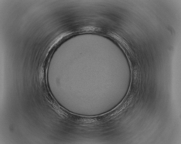 X0000113111023200909251048
