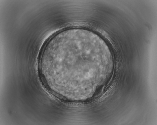 X0000113111024200909251048