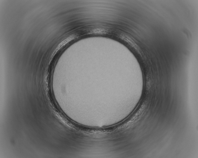 X0000113111026200909251048