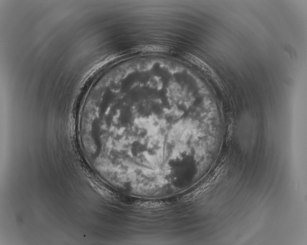 X0000113111027200909251048