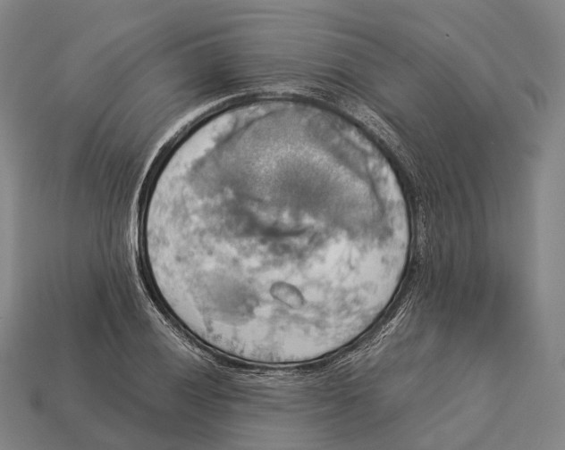 X0000113111028200909251048