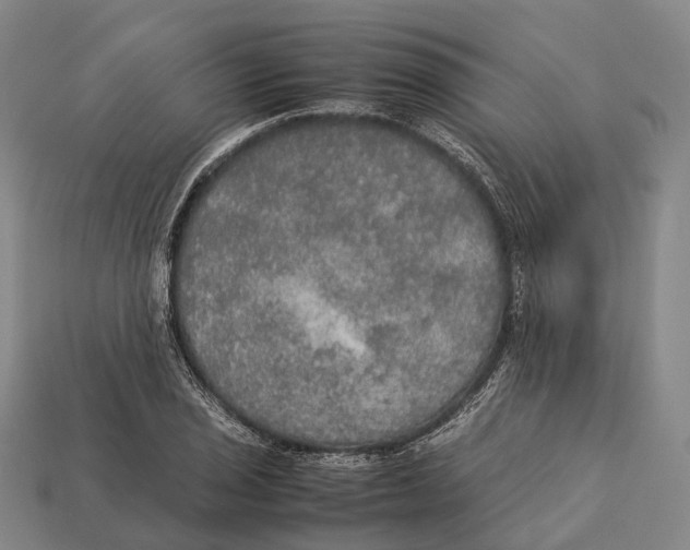 X0000113111029200909251048