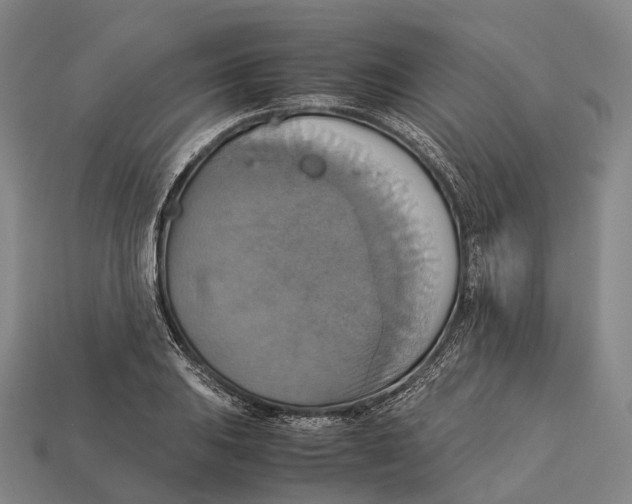 X0000113111031200909251048