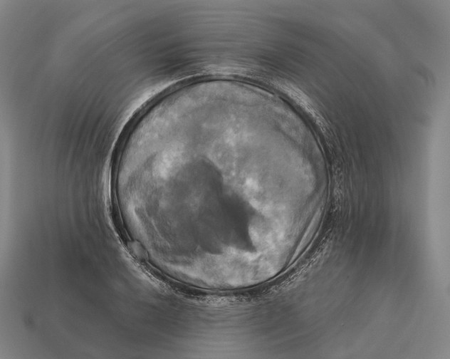 X0000113111032200909251048
