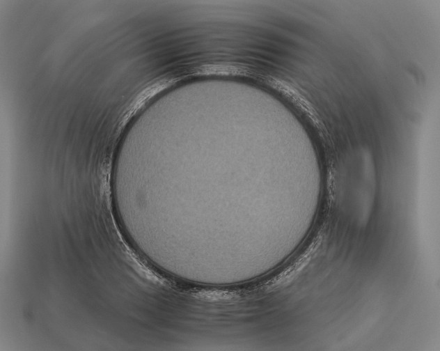 X0000113111033200909251048