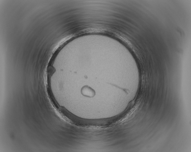 X0000113111034200909251048