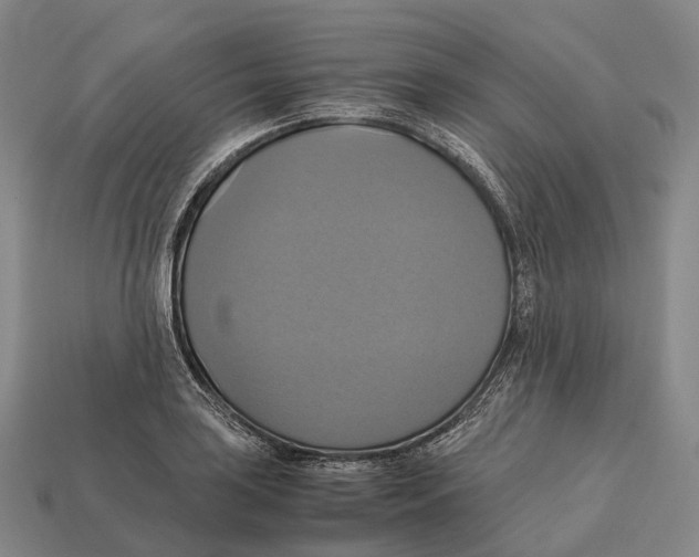X0000113111035200909251048