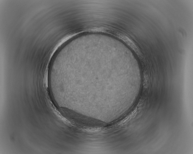 X0000113111036200909251048