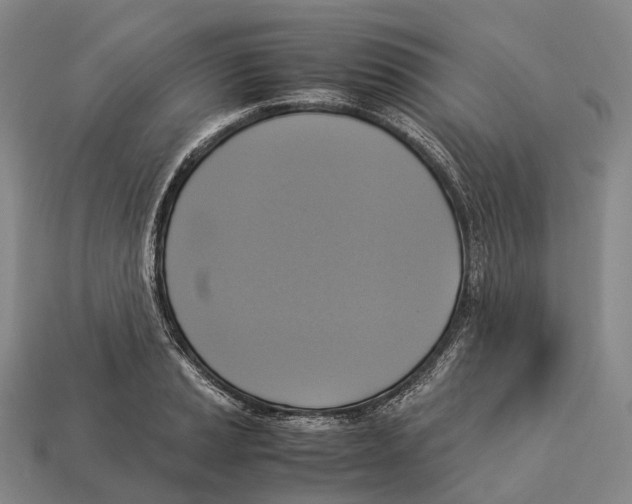 X0000113111037200909251048