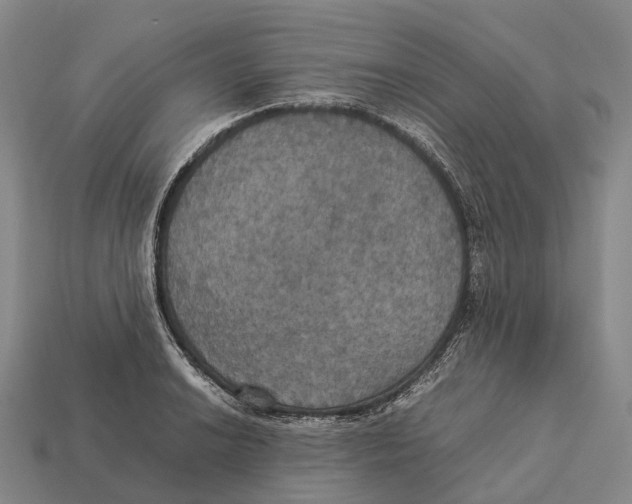 X0000113111038200909251048
