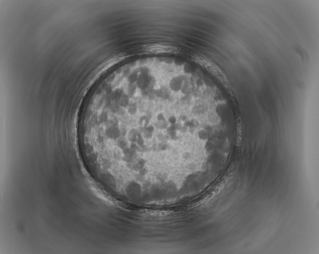 X0000113111039200909251048