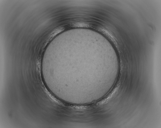 X0000113111041200909251048