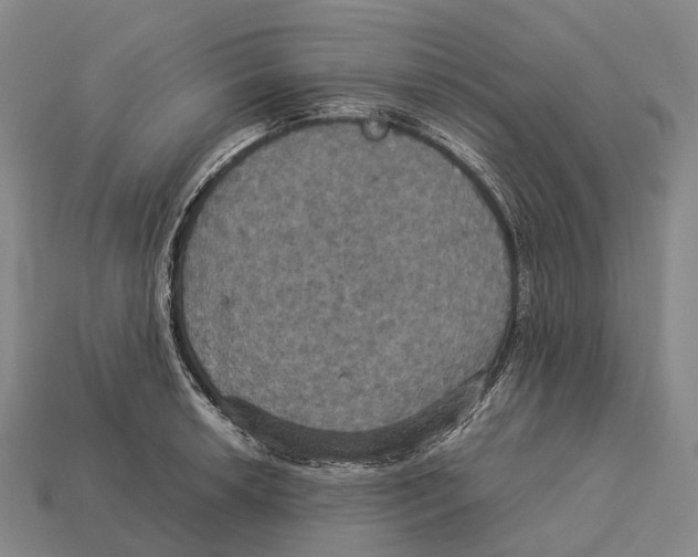 X0000113111042200909251048
