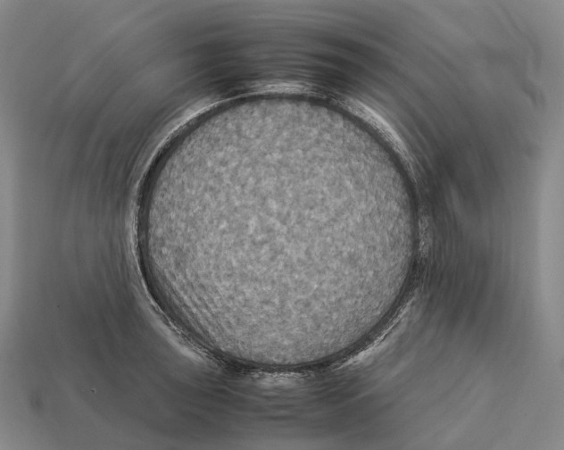 X0000113111043200909251048