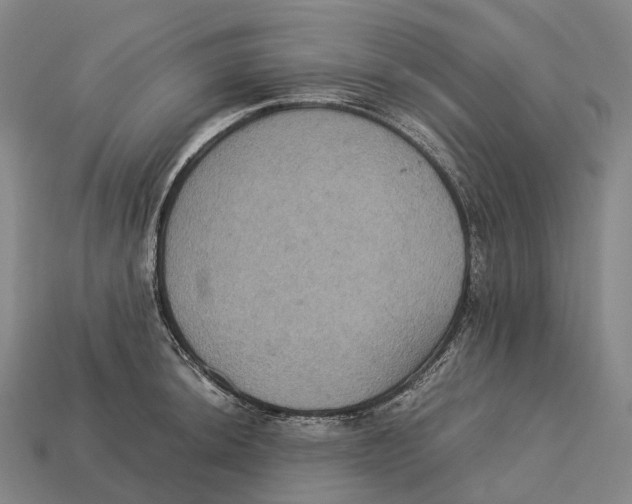 X0000113111044200909251048