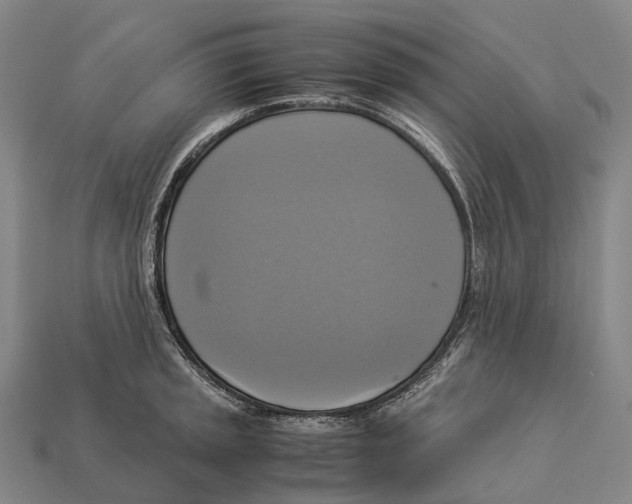 X0000113111045200909251048