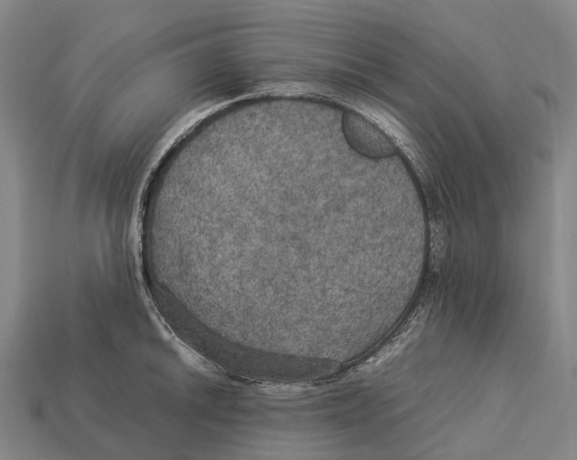 X0000113111046200909251048