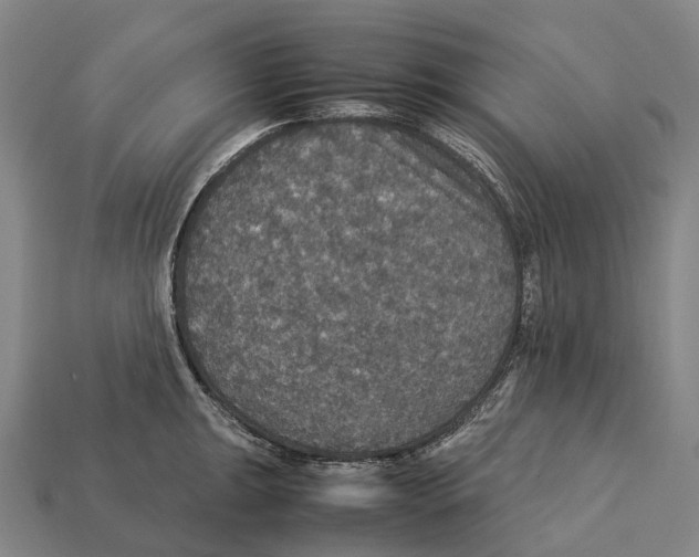 X0000113111047200909251048