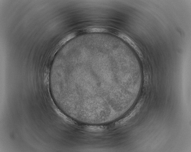 X0000113111049200909251048