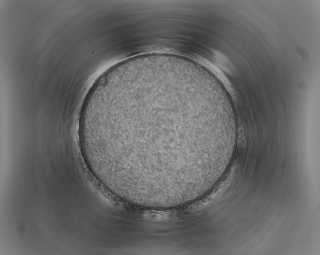 X0000113111051200909251048
