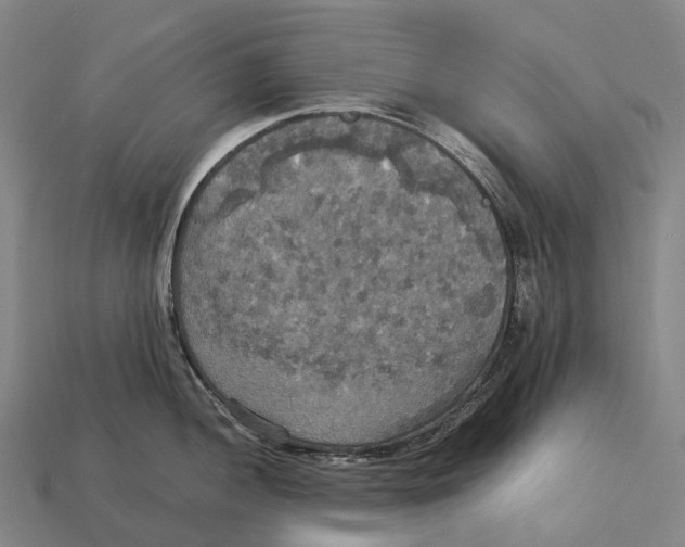 X0000113111052200909251048