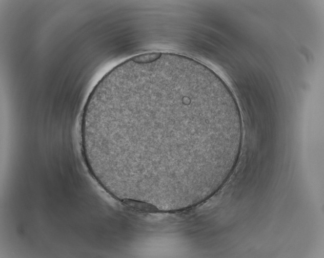 X0000113111056200909251048