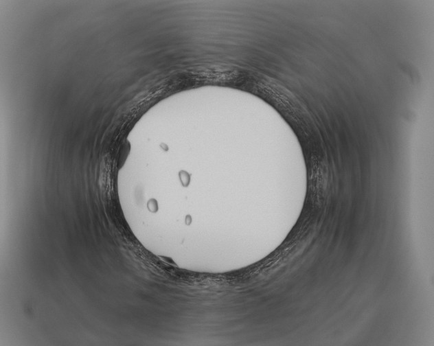X0000113111058200909251047