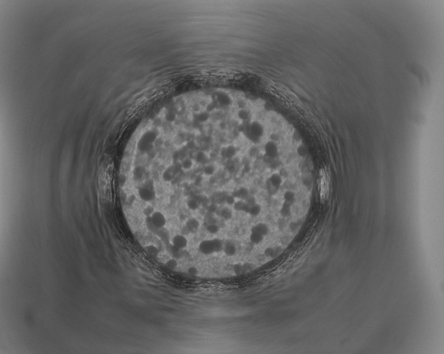 X0000113111059200909251047