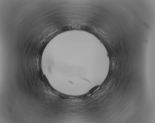 X0000113111060200909251047