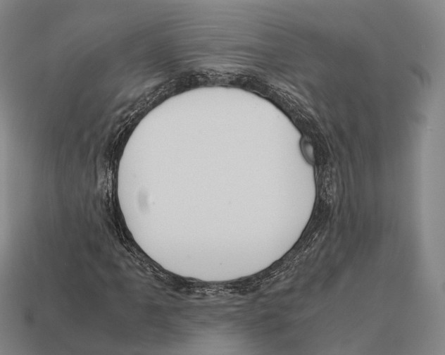 X0000113111061200909251047