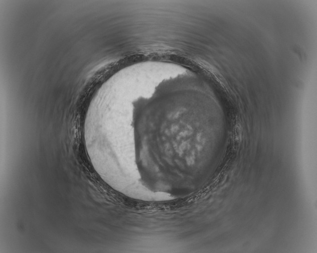 X0000113111063200909251047