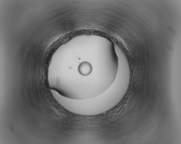 X0000113111064200909251047