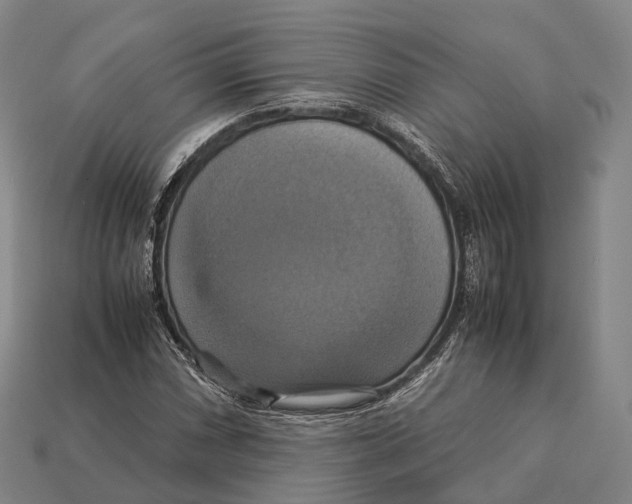 X0000113111066200909251047