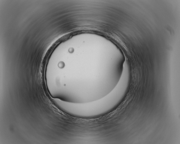 X0000113111068200909251047