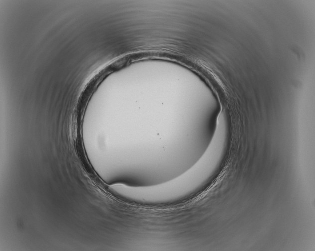X0000113111069200909251047
